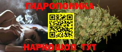 спиды Краснодар