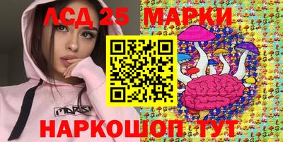 спиды Краснодар