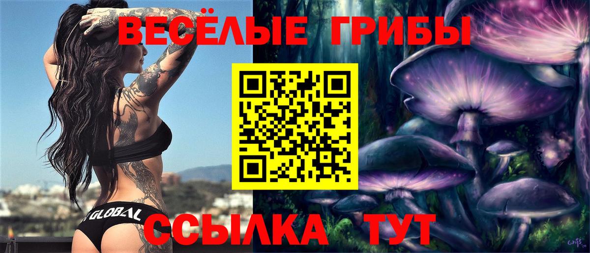 Галлюциногенные грибы MAGIC MUSHROOMS Кемерово